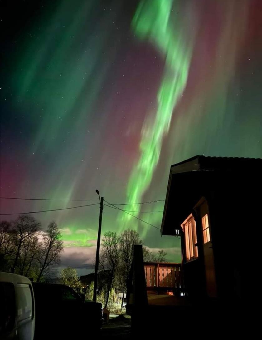 Koselig Leilighet I Narvik Sentrum 5 Soveplasser Gratis Parkering Og Gratis Internett Exteriér fotografie