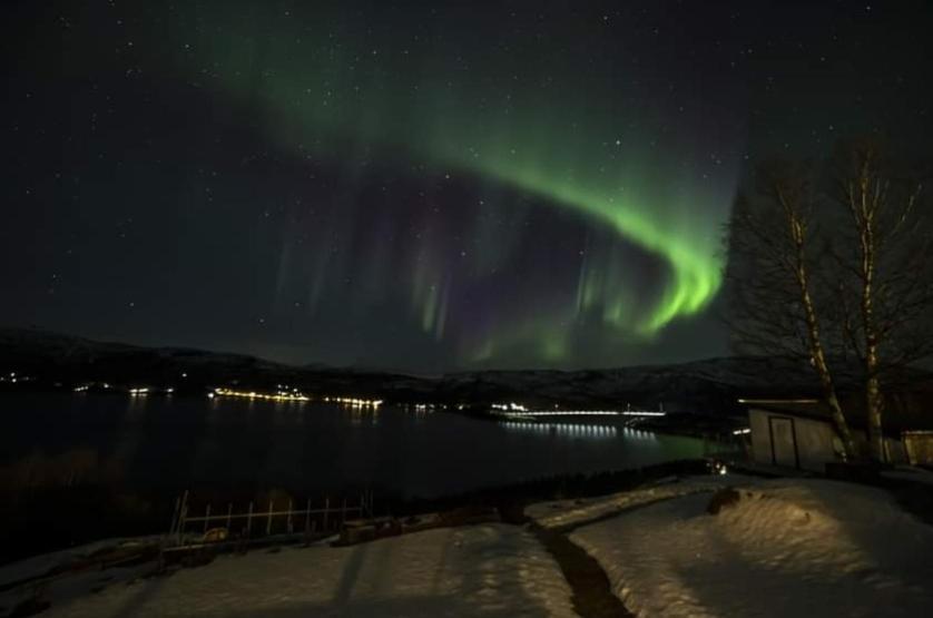 Koselig Leilighet I Narvik Sentrum 5 Soveplasser Gratis Parkering Og Gratis Internett Exteriér fotografie